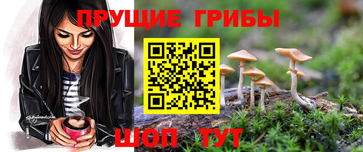 Псилоцибиновые грибы Magic Shrooms  Вход с VPN  купить наркотики сайты  Асбест  Галлюциногенные грибы GOLDEN TEACHER 